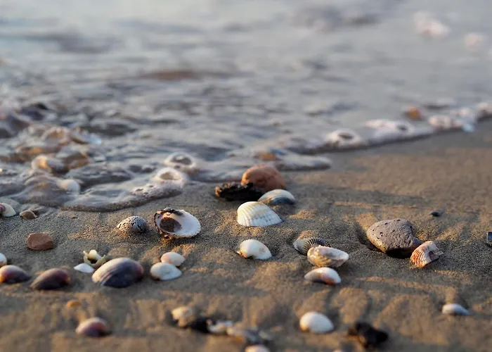 Comfy Flat By The Apartment Bibione